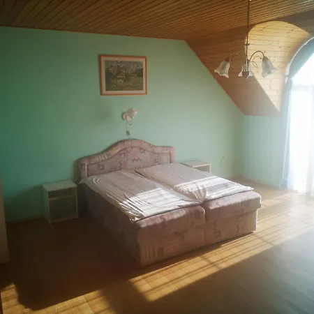 Zold Solyom Apartman Homestay