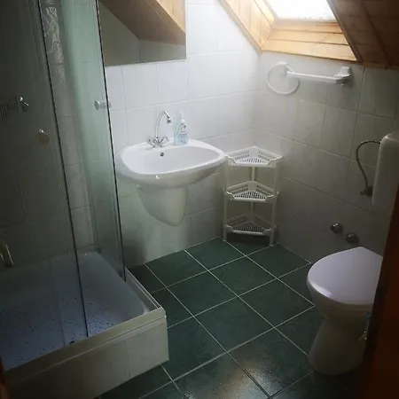 Zold Solyom Apartman Homestay